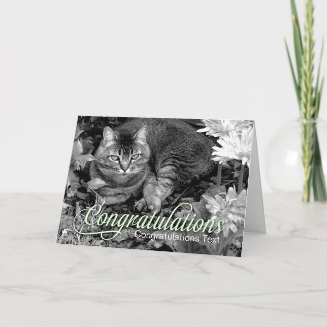 Carte de félicitations de blanc de chat de jardin (Devant)