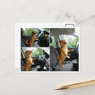 Carte de félicitations pour le permis de conduire