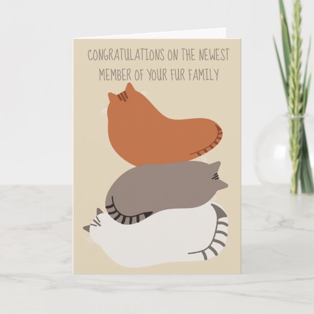 Carte de Félicitations pour Nouveau Chat pour les  (Devant)