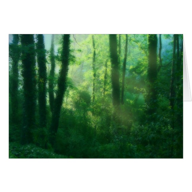 Carte de fertilité (Devant horizontal)