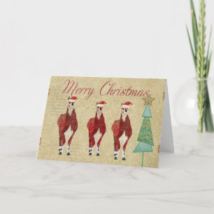 Carte de fête de Joyeux Noël de lamas