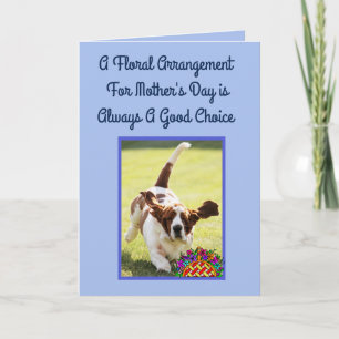 Carte de fête des mères amusante avec Cute Basset 