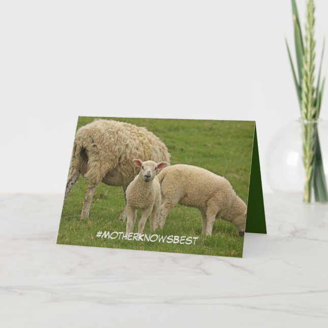 Carte de fête des mères avec agneau (Devant)