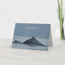 Carte de fête des mères avec baleines à bosse