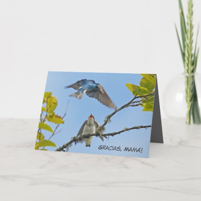 Carte de fête des mères avec hirondelles d'arbre ( (Devant)
