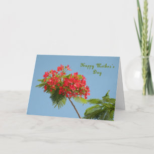 Carte de Fête des Mères avec une Fleur Royale de P