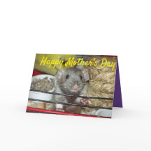Carte de fête des mères de rat bébé