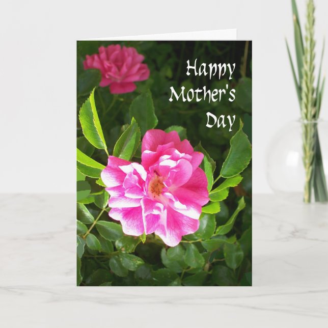 Carte de fête des mères - Roses roses roses (Devant)