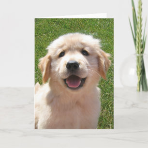 Carte de Fête des pères de chiot Golden Retriever