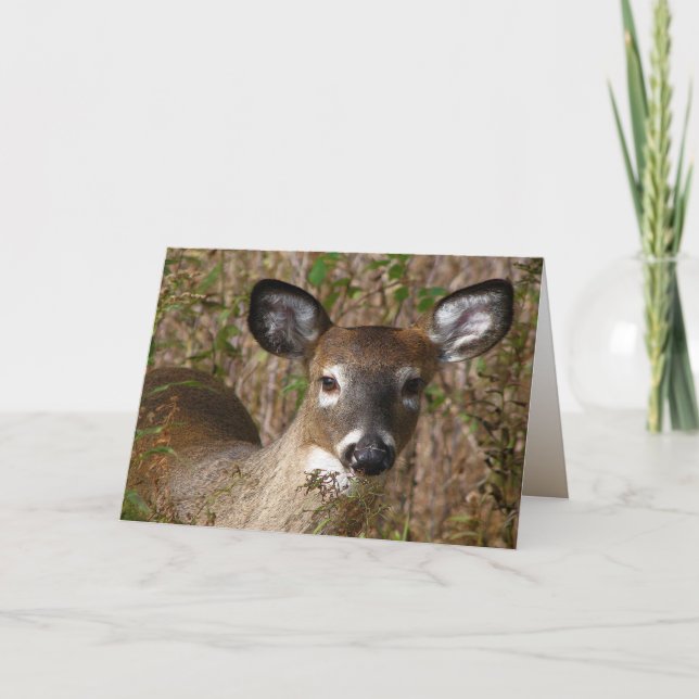 Carte de Fête des pères Young Deer (Devant)