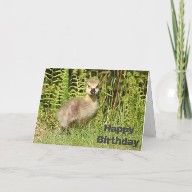Carte de fête ou de vœux pour un adorable poussin. (Devant)