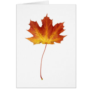 Carte de feuille d'érable rouge du feu