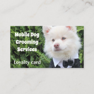 Carte De Fidélité Entreprise de services mobile de toilettage