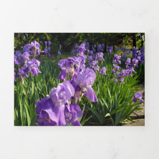 Carte De Fin D'année Trois Volets Carte endommagée et Battue