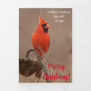 Carte De Fin D'année Trois Volets Carte "Joyeux Noël" avec Cardinal