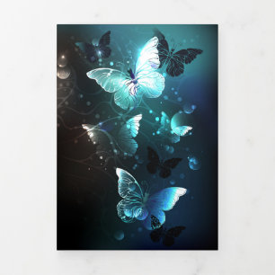 Carte De Fin D'année Trois Volets Papillons de nuit