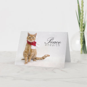 Carte de fin de année de charité