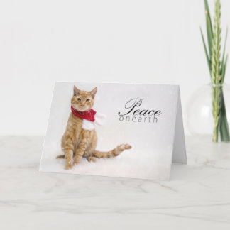 Carte de fin de année de charité