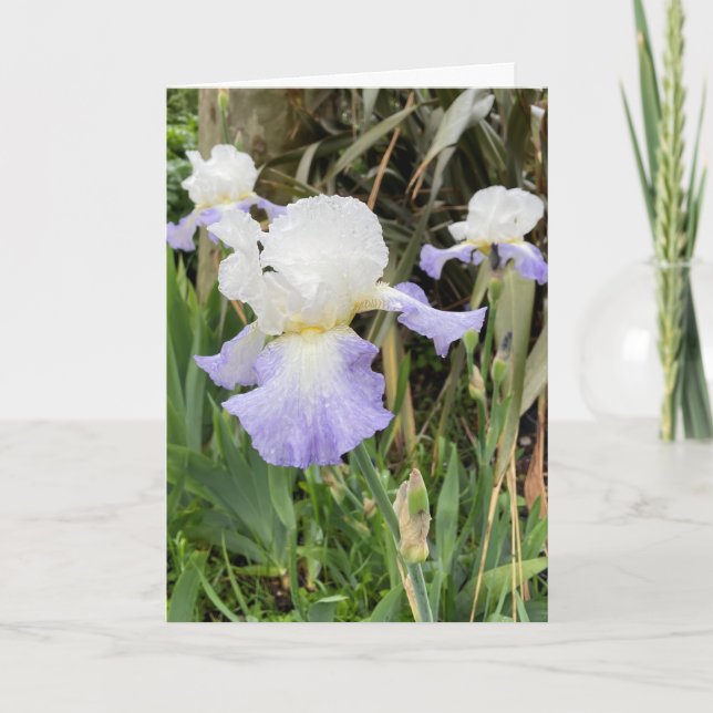 Carte de fleur d'Iris lilas clair vierge (Devant)