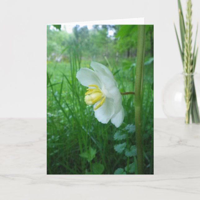 Carte de fleurs Apple (Devant)