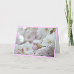 Carte de fleurs de cerisier Carte de fleurs blanch