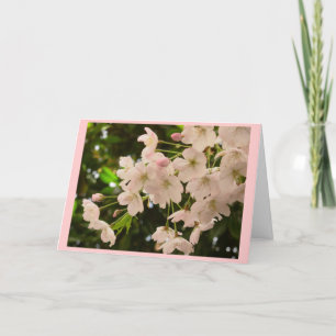 Carte de fleurs de cerisier Carte de fleurs blanch