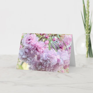 Carte de fleurs de cerisiers en plaie