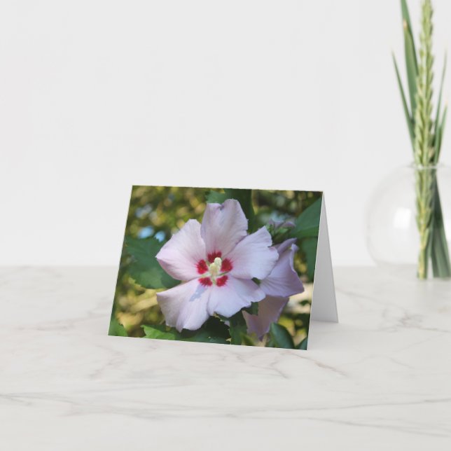 Carte de fleurs Hibiscus (Devant)