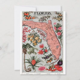 Carte de Floride vintage