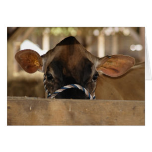 Carte de foire régionale