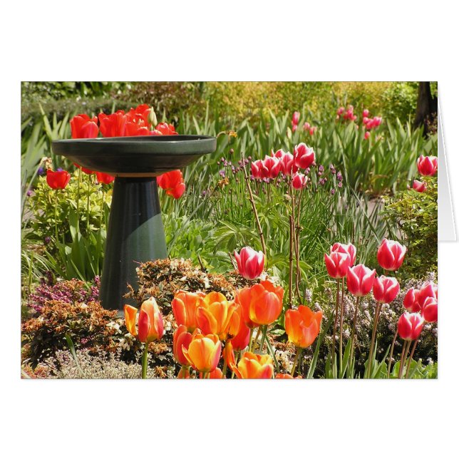 Carte de fontaine de tulipe (Devant horizontal)