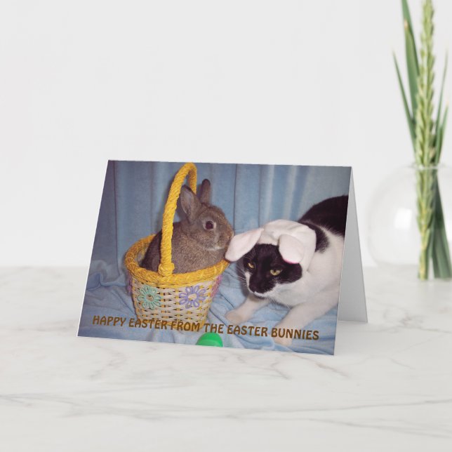 CARTE DE FUNNY EASTER (Devant)