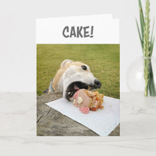 Carte de gâteau d'anniversaire de Greyhound Dog