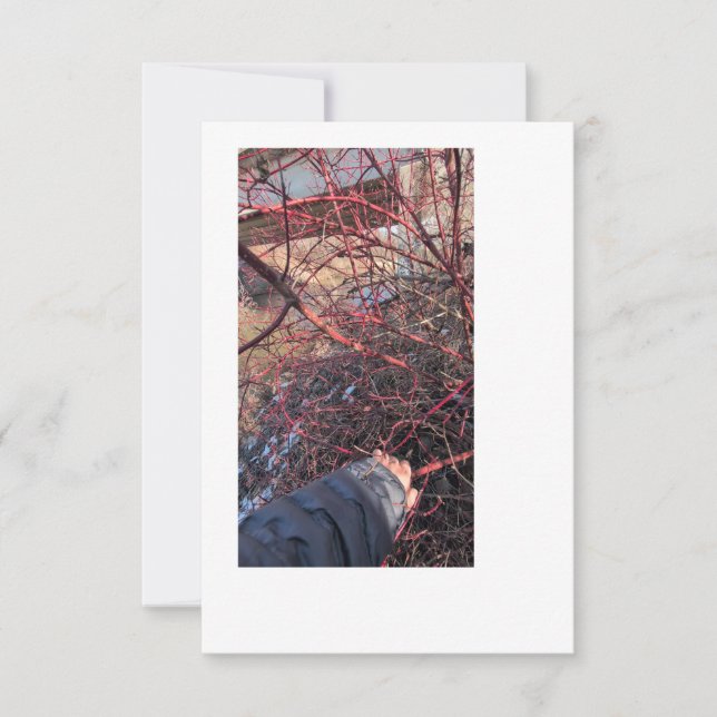 Carte de Géocache de Troll (Devant)