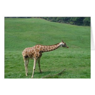 Carte de girafe !