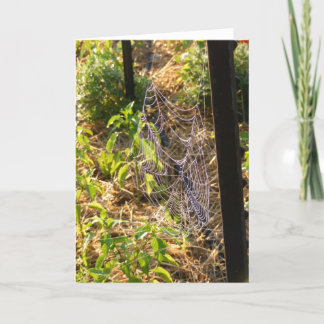 Carte de gouttes Spider Web et Dew (vide)