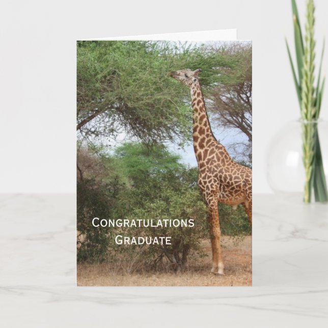 Carte de graduation Giraffe (Devant)