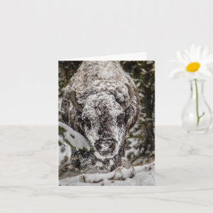 Carte de Grand Teton avec des bisons couverts de n