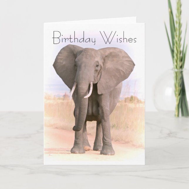 CARTE DE GREETING ELEPHANT (Devant)