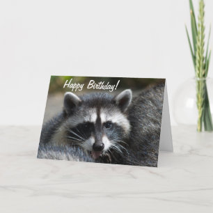 Carte de gros plan Raccoon
