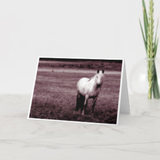 Carte de Horse