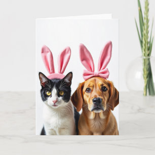 Carte de jeu amusante pour amis chats et chiens