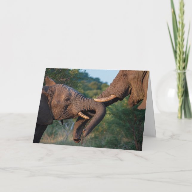 Carte de jeu d'éléphants (Devant)