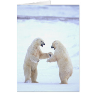 Carte de jeu d'ours blanc