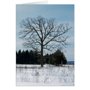 Carte de joie d'arbre d'hiver
