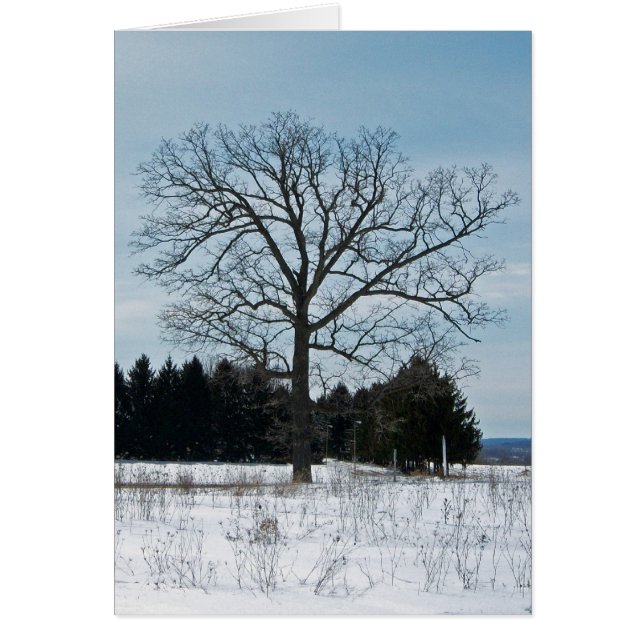 Carte de joie d'arbre d'hiver (Devant)