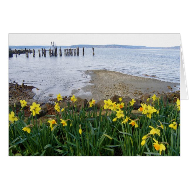 Carte de jonquilles (Devant horizontal)