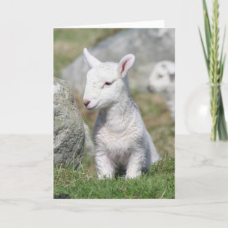 CARTE DE JOUR DE MÈRES