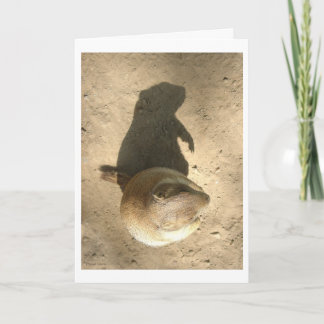 Carte de jour de porc moulu