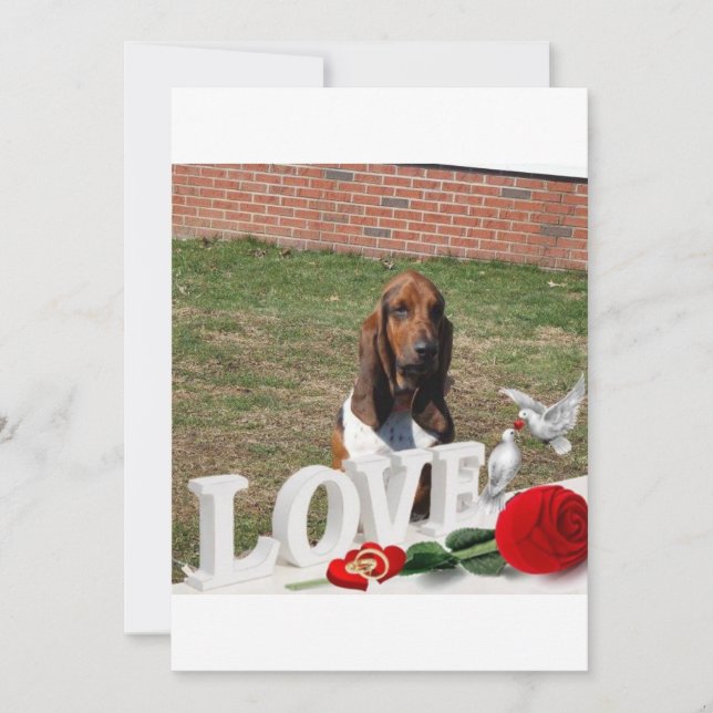 Carte de jour de valentines de la chaîne Basset (Devant)